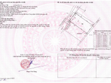 Chính chủ bán lô đất mặt tiền An Phú Đông 10, Quận 12, cách Quốc Lộ 1A chỉ 500m