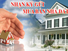 Nhận ký gửi bất động sản căn hộ tại khu vực Đà Nẵng