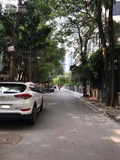 Hẻm xe hơi 1 sẹc, Cách Mạng Tháng 8, Tân Bình, 47m2, giá nhỉnh 5 tỷ