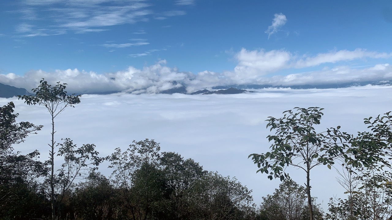 Mảnh đất 2000m2 view săn mây tuyệt vời ảnh thật